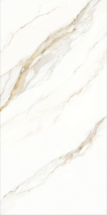 Time Lumidora Matte 24 x 48